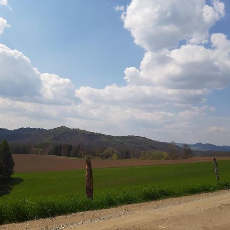 Fewo Schiffner Apartment Bad Schandau Bagian luar foto